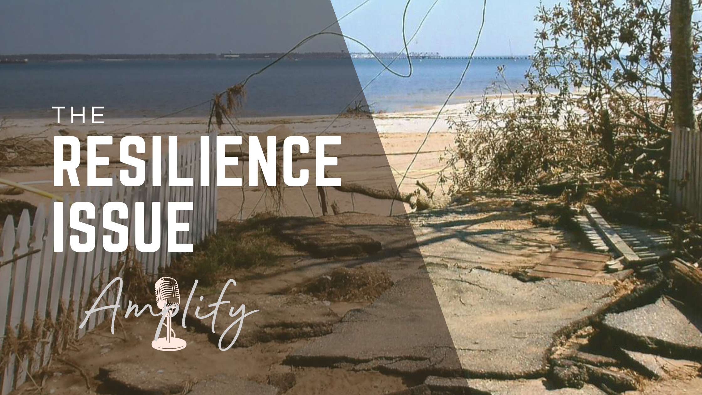 The Resilience Issue - Amplify The Sip